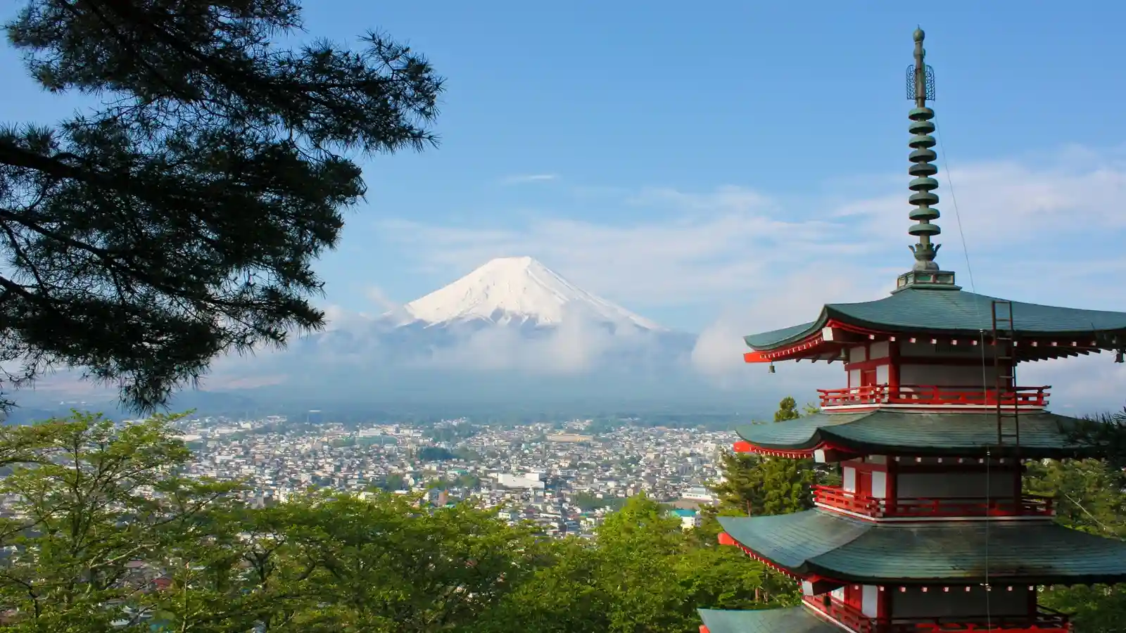 Japan's Foreign Population Rises 8.3% as Working-Age Population Shrinks