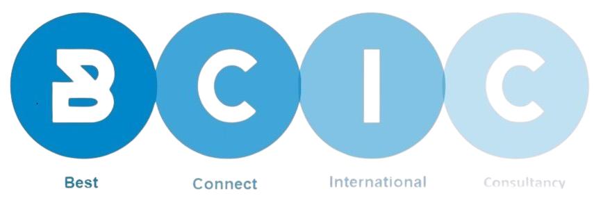 Company Logo BCIC Swiss GmBH
