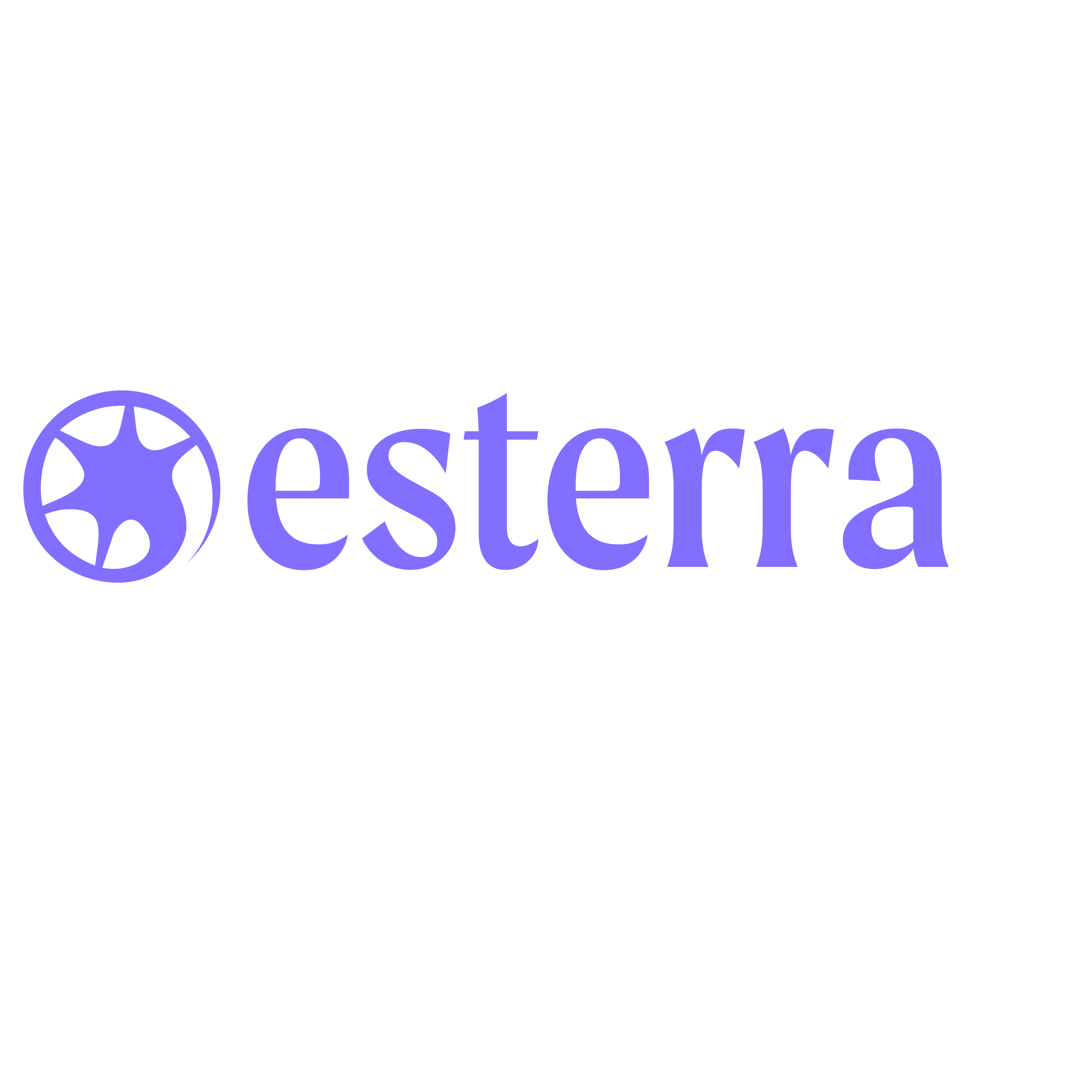 Company Logo esterra