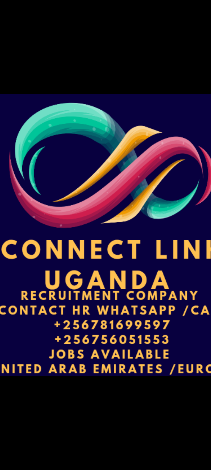 Company Logo Connect Link Recruitment Experts Uganda.